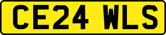 CE24WLS