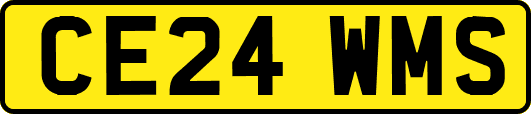CE24WMS
