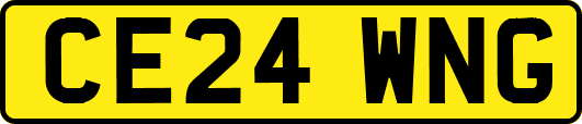 CE24WNG