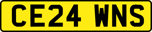 CE24WNS