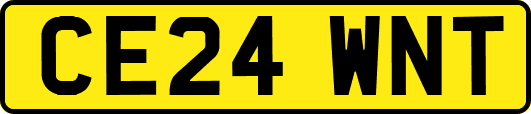 CE24WNT