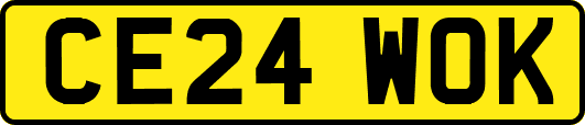 CE24WOK