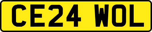 CE24WOL