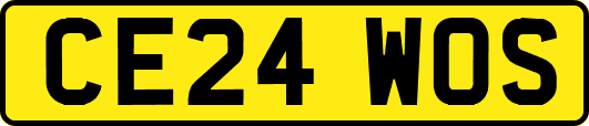 CE24WOS