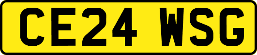 CE24WSG