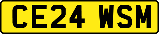CE24WSM