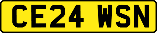CE24WSN