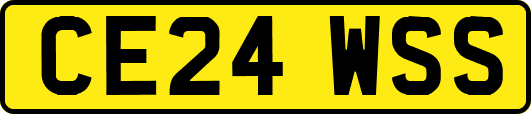 CE24WSS