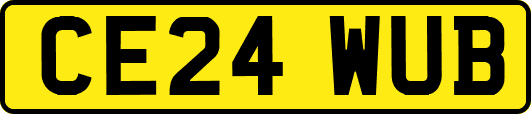 CE24WUB
