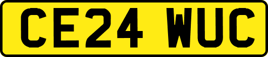 CE24WUC
