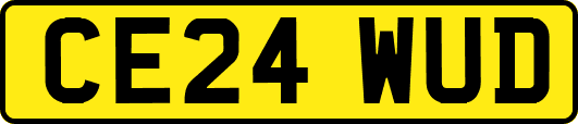 CE24WUD