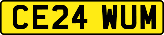 CE24WUM