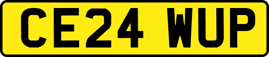 CE24WUP