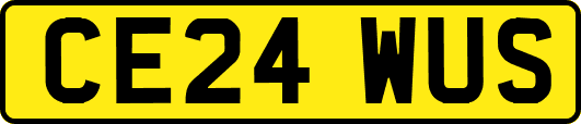 CE24WUS
