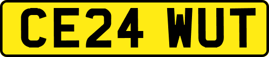 CE24WUT
