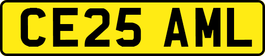 CE25AML