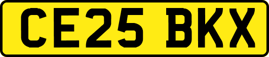 CE25BKX