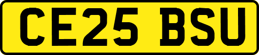 CE25BSU