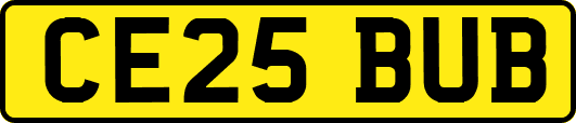 CE25BUB