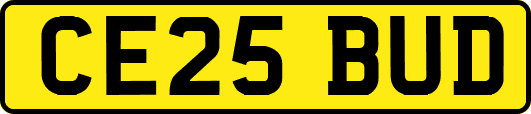 CE25BUD