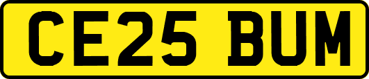 CE25BUM