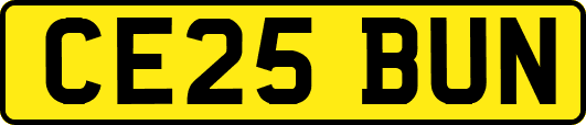 CE25BUN