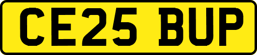CE25BUP