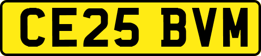 CE25BVM