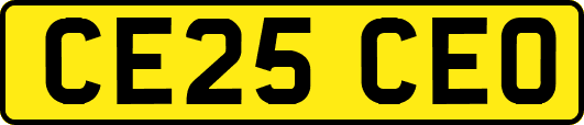 CE25CEO