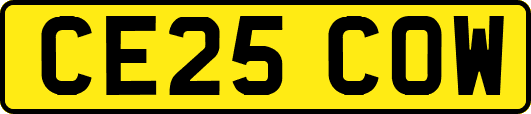 CE25COW