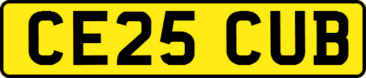 CE25CUB