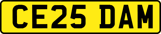 CE25DAM