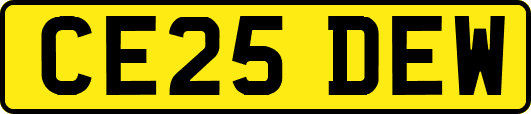 CE25DEW