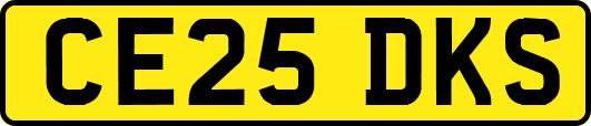 CE25DKS
