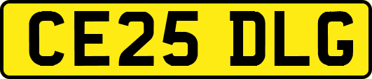 CE25DLG
