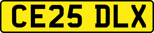 CE25DLX