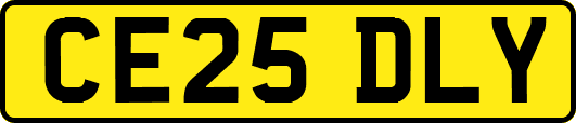 CE25DLY