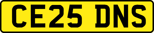 CE25DNS