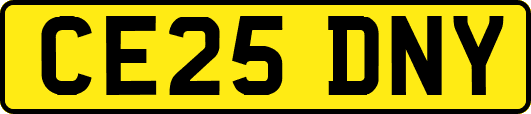 CE25DNY