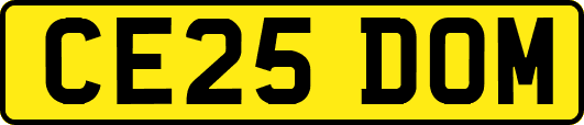 CE25DOM