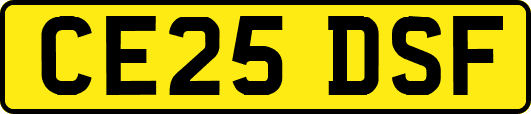 CE25DSF