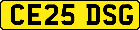 CE25DSG