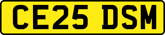 CE25DSM