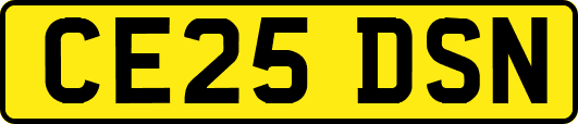 CE25DSN