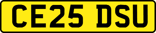 CE25DSU