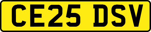 CE25DSV