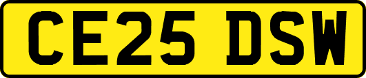 CE25DSW