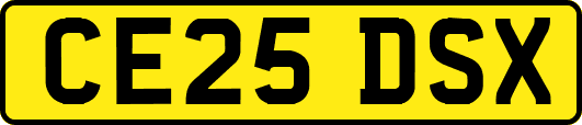 CE25DSX