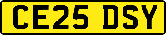 CE25DSY