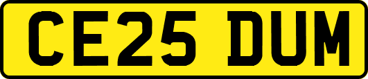CE25DUM